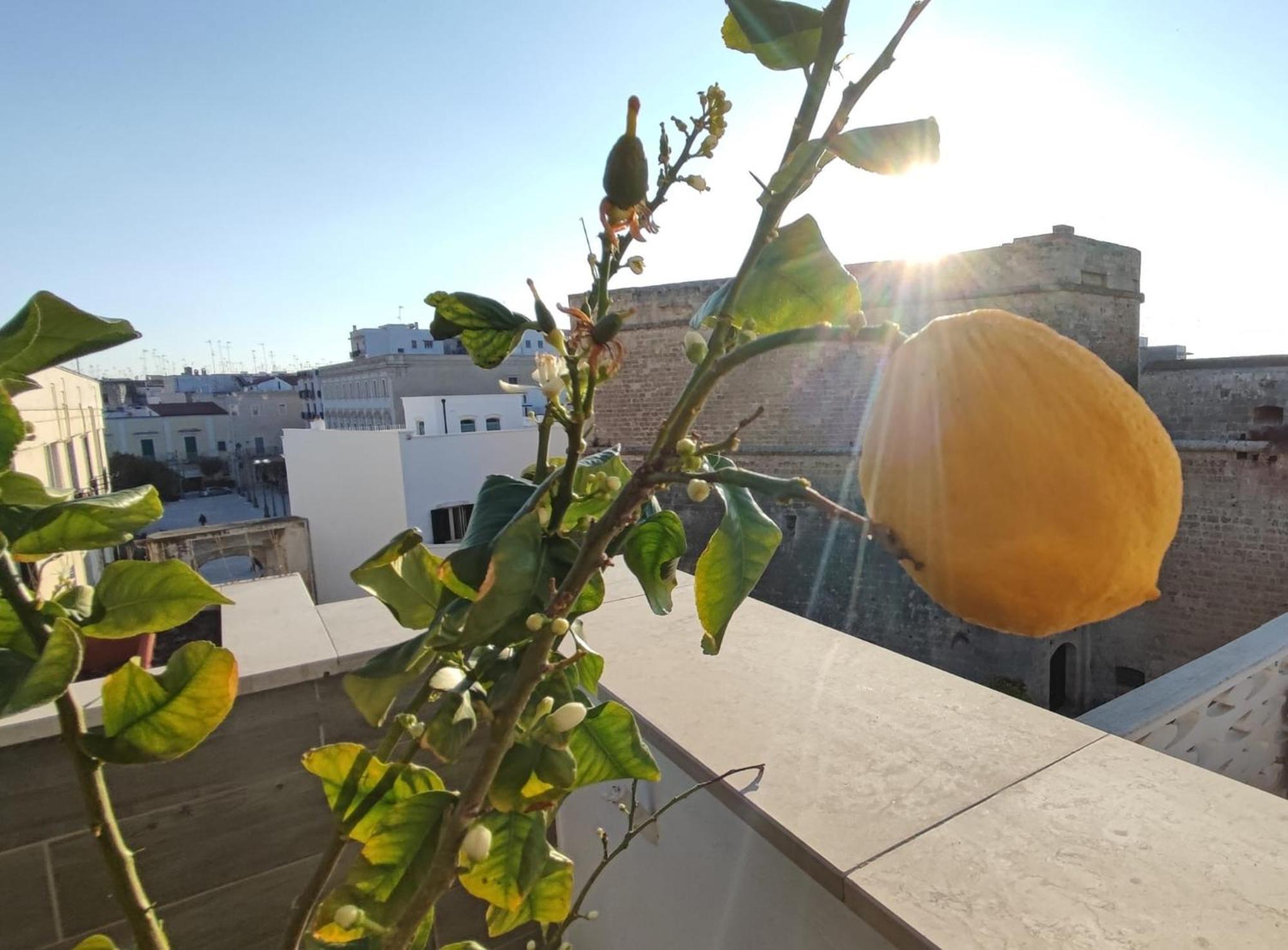 Locanda Degli Angioini Locazione Turistica Otel Mola di Bari Dış mekan fotoğraf